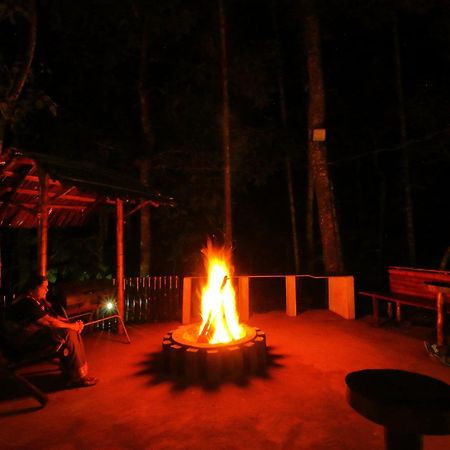 Tall Trees - Modern Forest Villa In Wayanad スルタン・バザリー エクステリア 写真