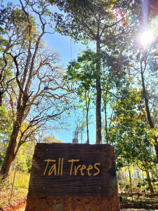 Tall Trees - Modern Forest Villa In Wayanad スルタン・バザリー エクステリア 写真