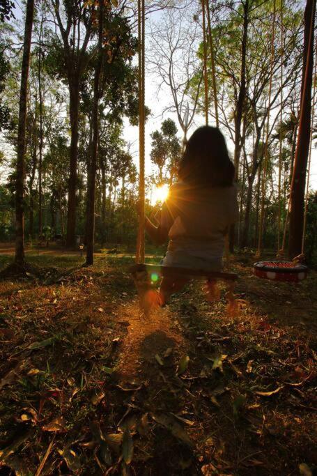 Tall Trees - Modern Forest Villa In Wayanad スルタン・バザリー エクステリア 写真