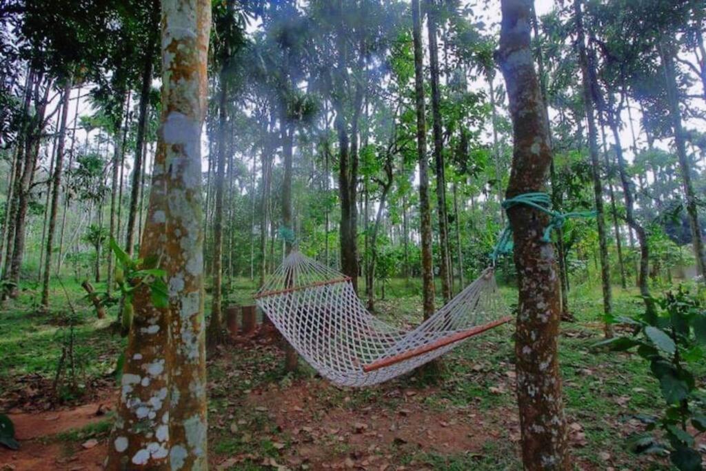 Tall Trees - Modern Forest Villa In Wayanad スルタン・バザリー エクステリア 写真