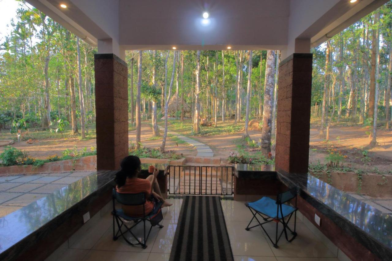 Tall Trees - Modern Forest Villa In Wayanad スルタン・バザリー エクステリア 写真