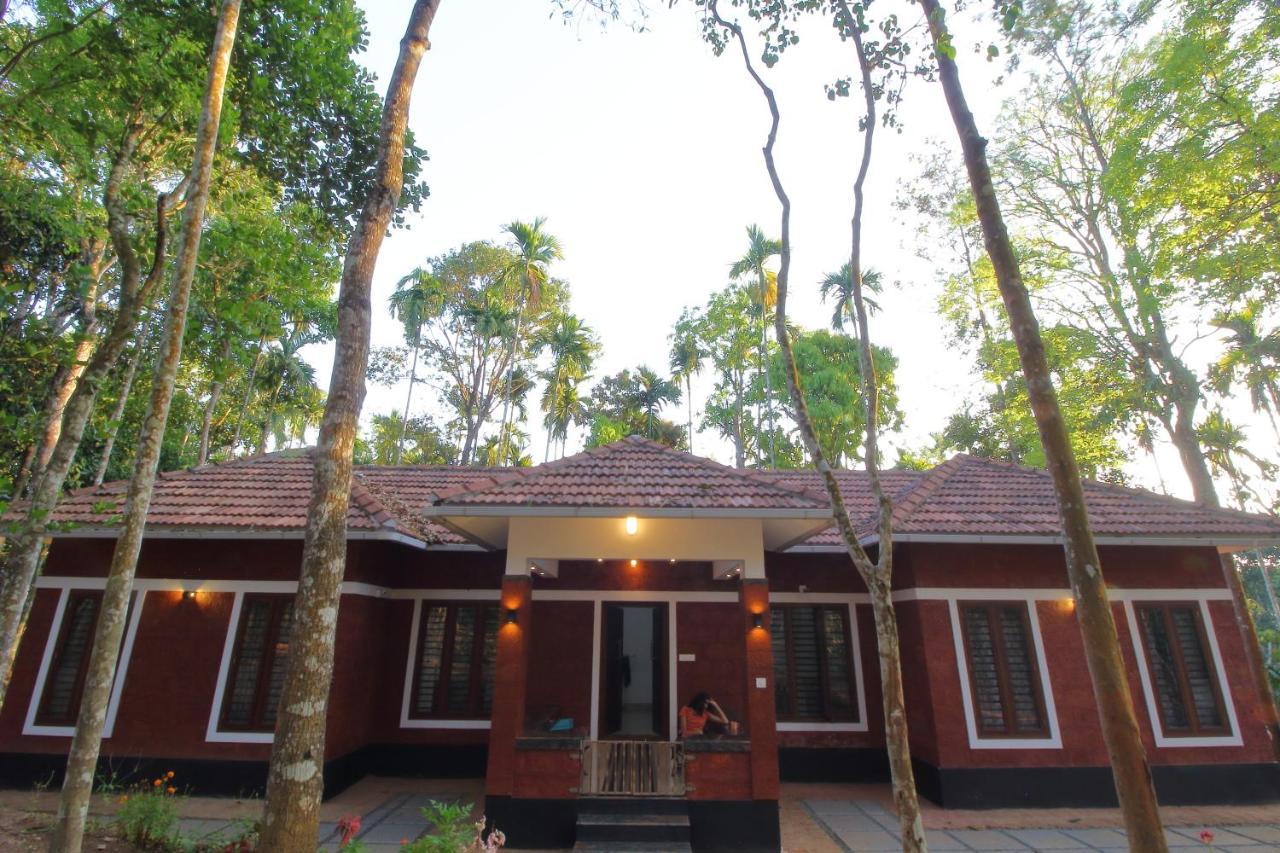 Tall Trees - Modern Forest Villa In Wayanad スルタン・バザリー エクステリア 写真