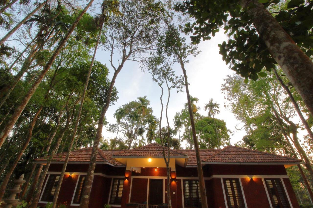 Tall Trees - Modern Forest Villa In Wayanad スルタン・バザリー エクステリア 写真