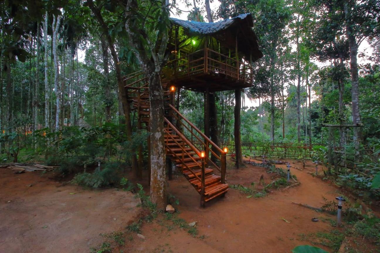 Tall Trees - Modern Forest Villa In Wayanad スルタン・バザリー エクステリア 写真