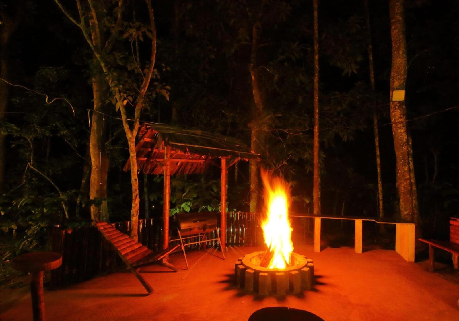 Tall Trees - Modern Forest Villa In Wayanad スルタン・バザリー エクステリア 写真