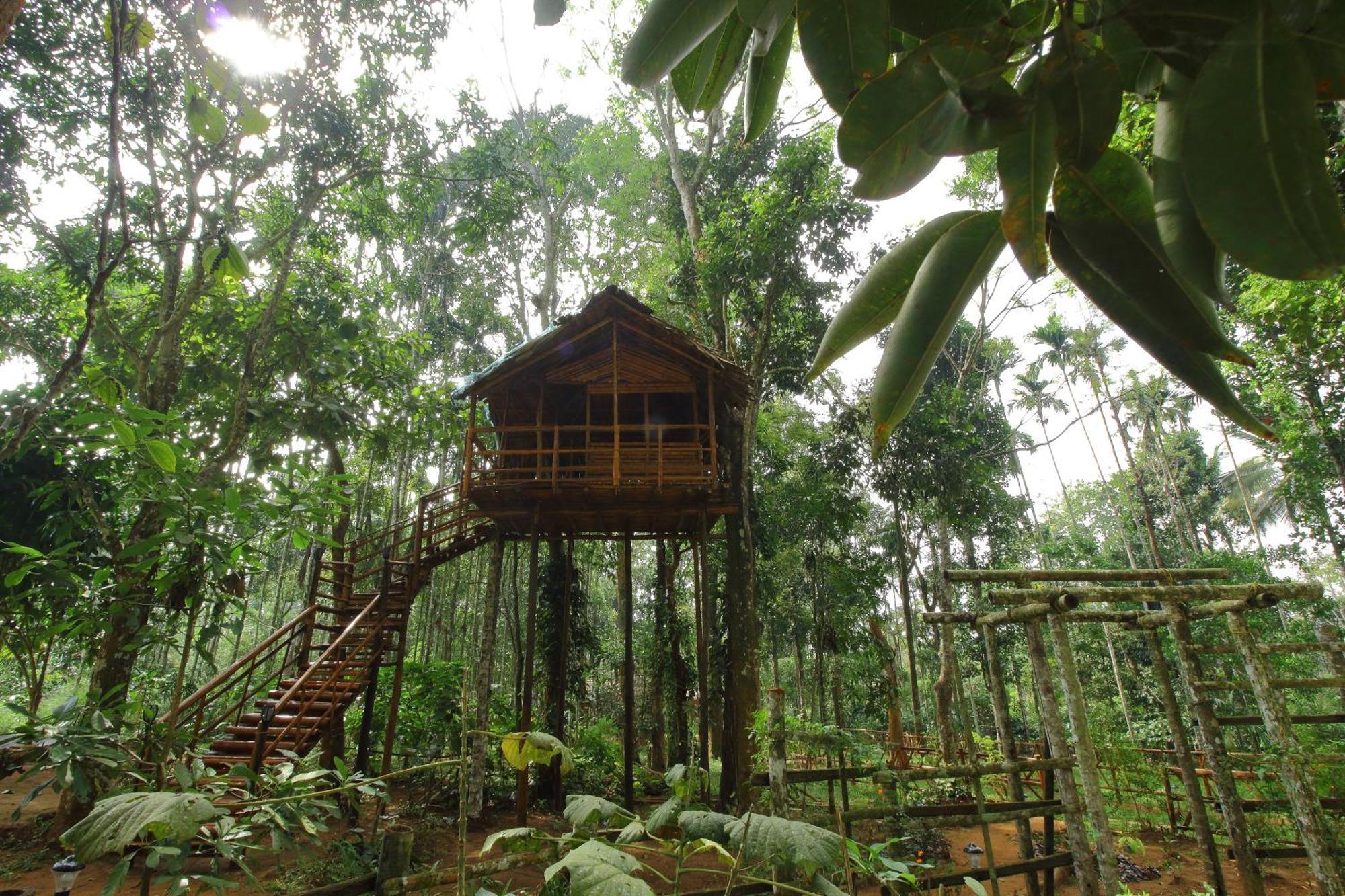 Tall Trees - Modern Forest Villa In Wayanad スルタン・バザリー エクステリア 写真